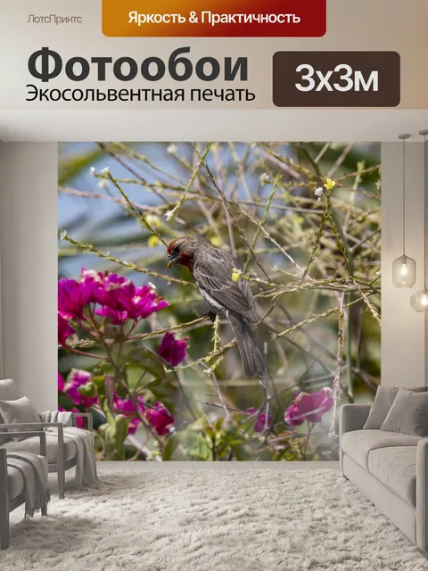 Фотообои Птица в кустах