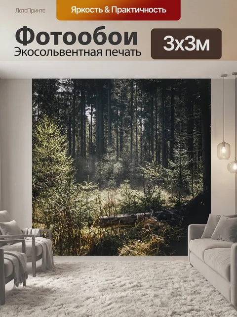 Фотообои Лес