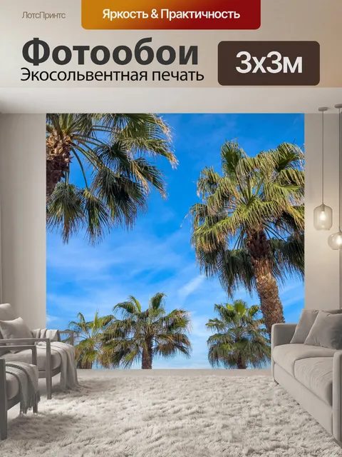 Фотообои Пальмы против неба
