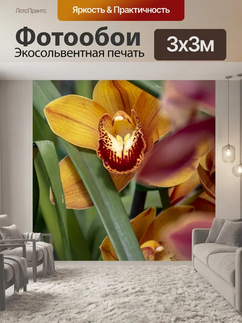 Фотообои Орхидеи