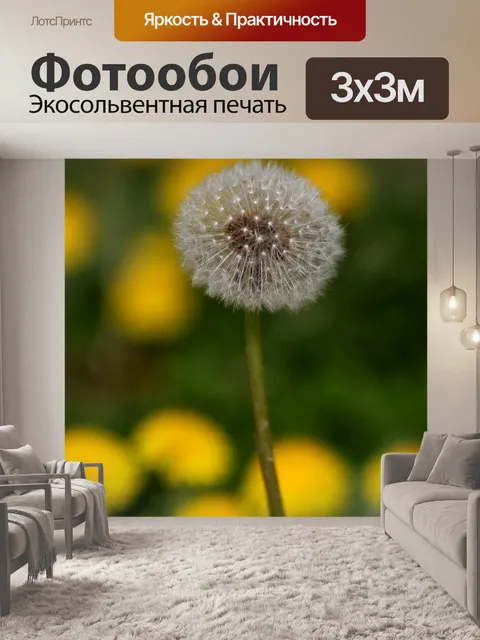 Фотообои Одуванчик