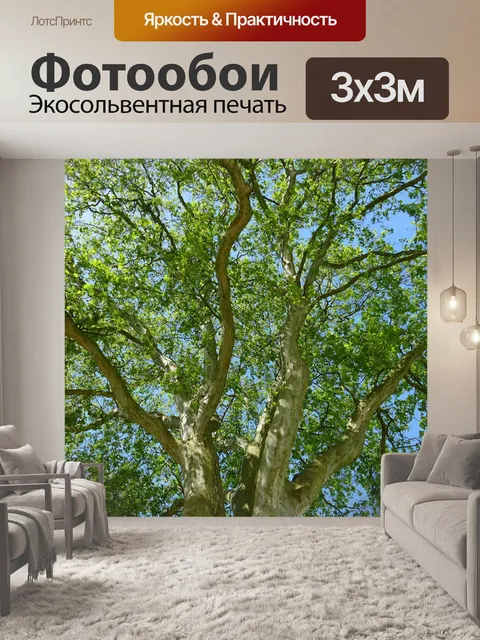 Фотообои Дерево