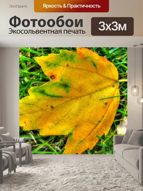 Фотообои Желтый кленовый лист