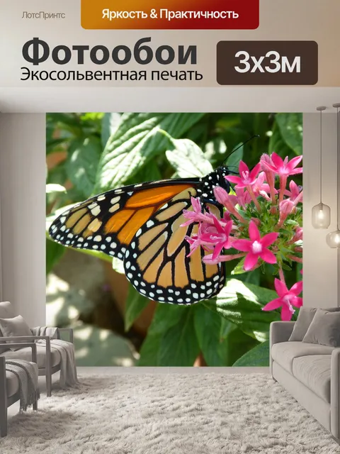 Фотообои Бабочка монарх на розовыми цветами