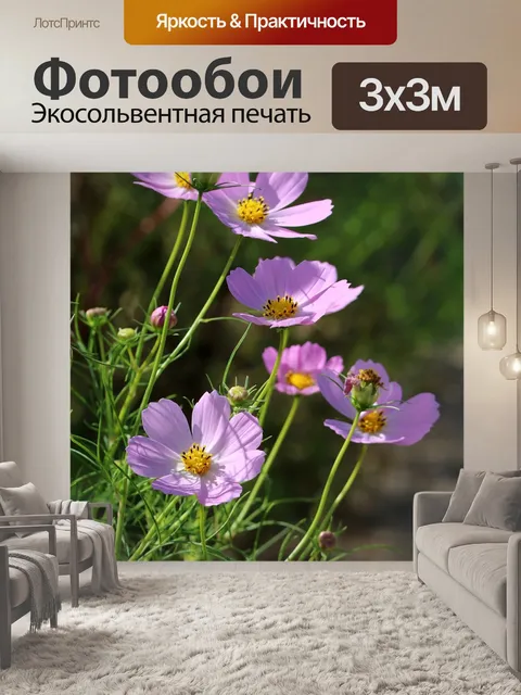 Фотообои Космос
