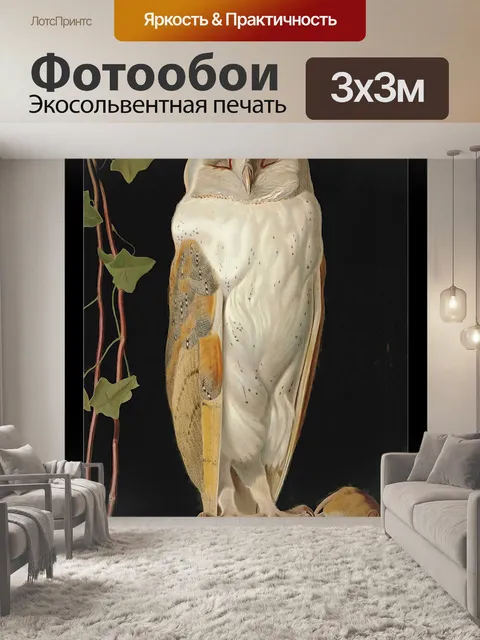 Фотообои Винтажная иллюстрация сипухи