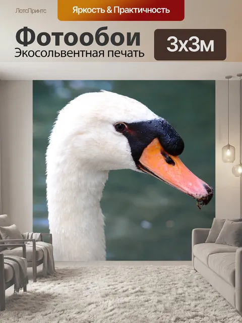 Фотообои Птица