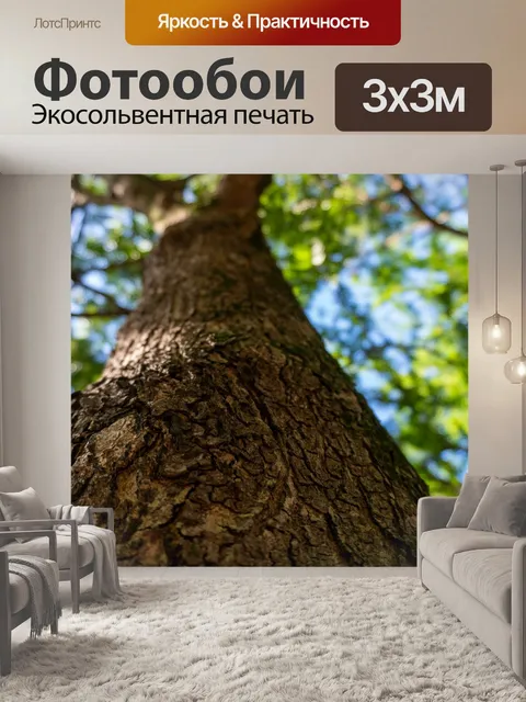 Фотообои Большое дерево