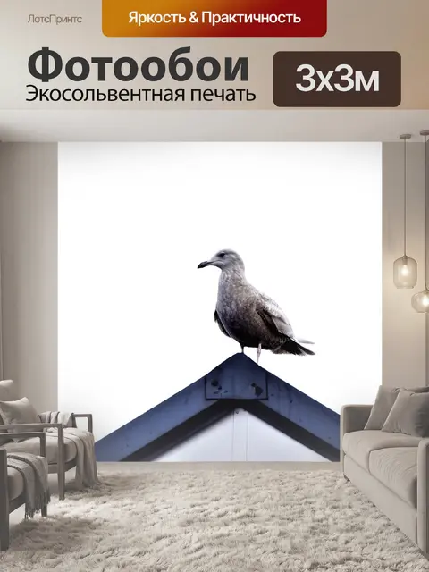 Фотообои Птица