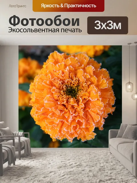 Фотообои Бархатная роза
