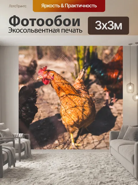 Фотообои Курица