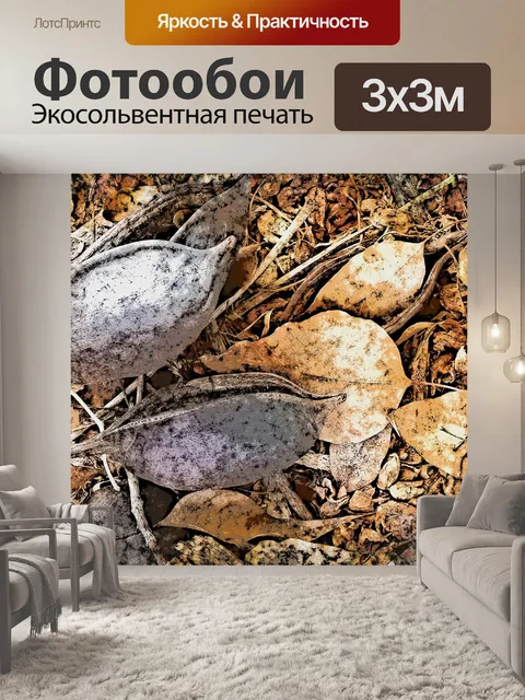 Фотообои Семенные стручки