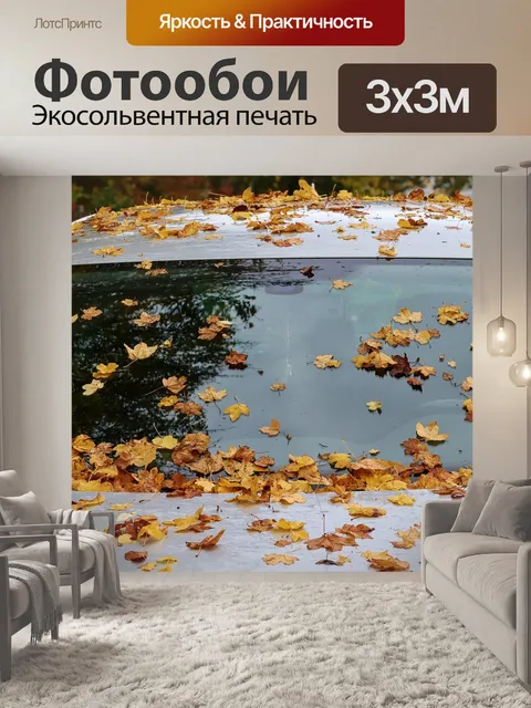 Фотообои Лобовое стекло
