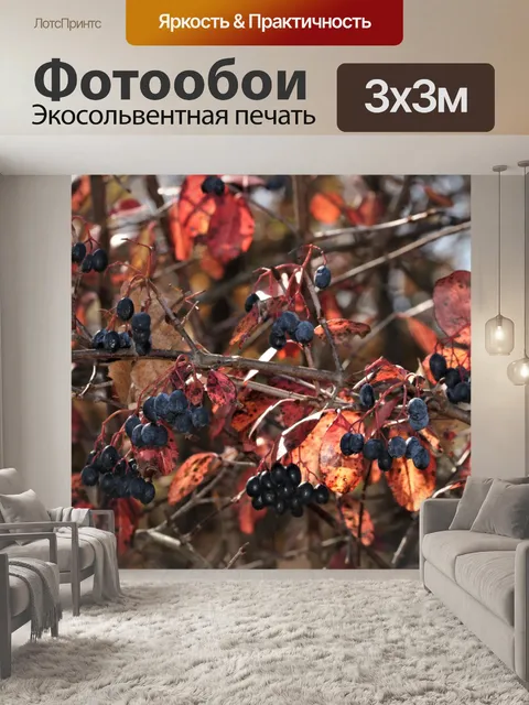 Фотообои Осенние ягоды и листья
