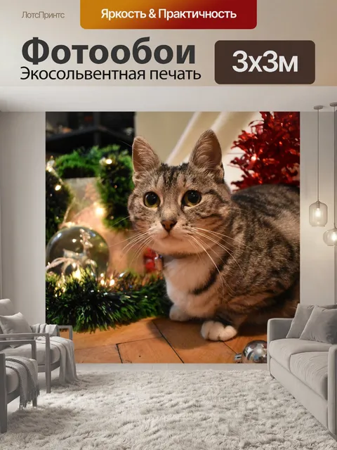 Фотообои Рождественские фон