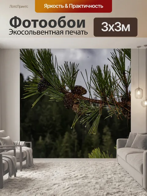 Фотообои Ветка сосновой шишки