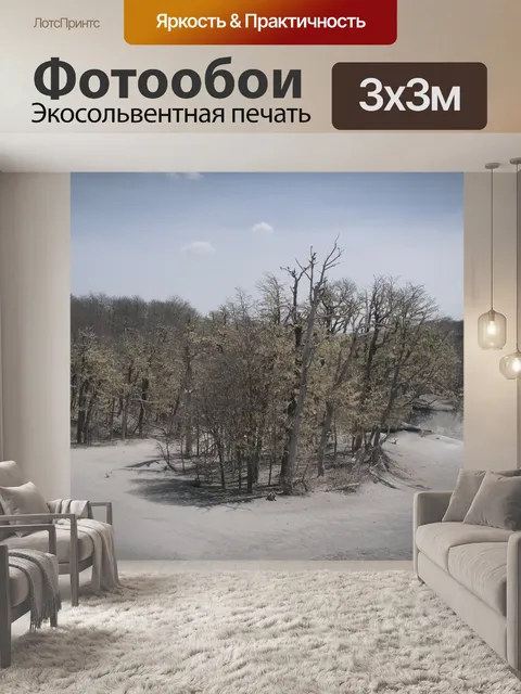 Фотообои Чили