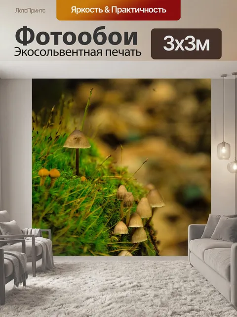 Фотообои Лес