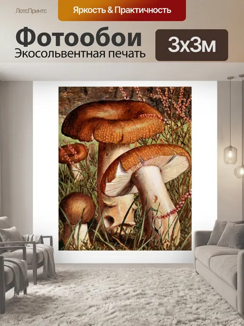 Фотообои Грибы век винтаж старый