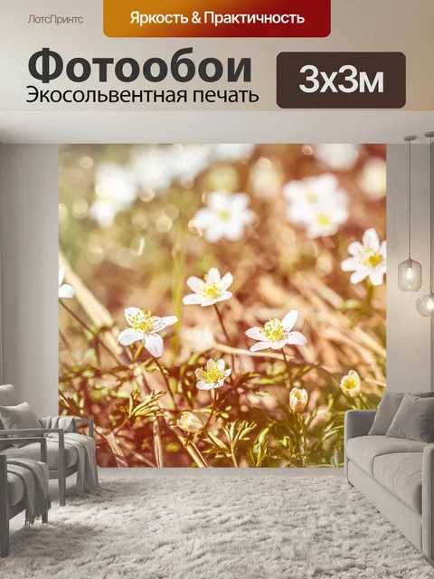 Фотообои Цветы