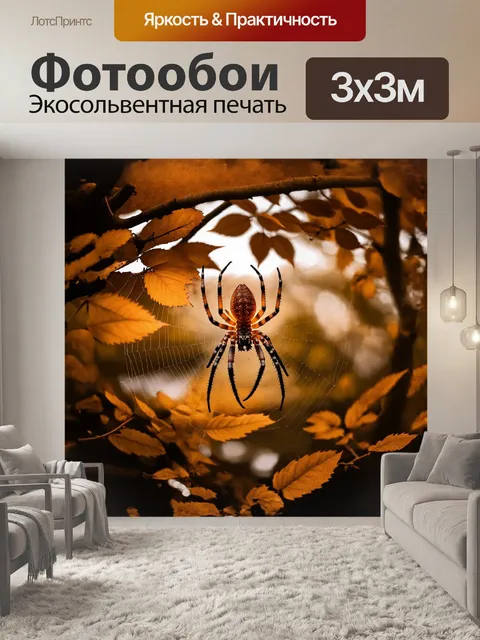 Фотообои **паук в центре паутины