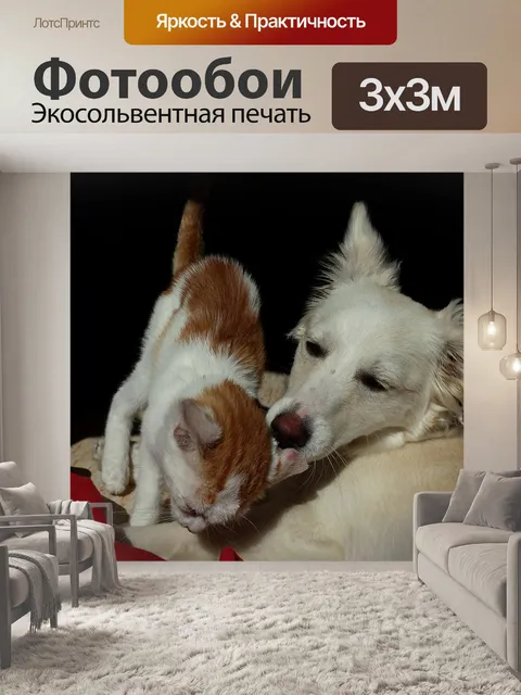 Фотообои Кошка и собака