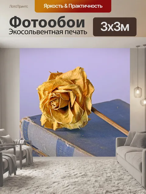 Фотообои увядшая мертвая роза на старых книгах