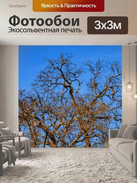 Фотообои Голые деревья с птицами