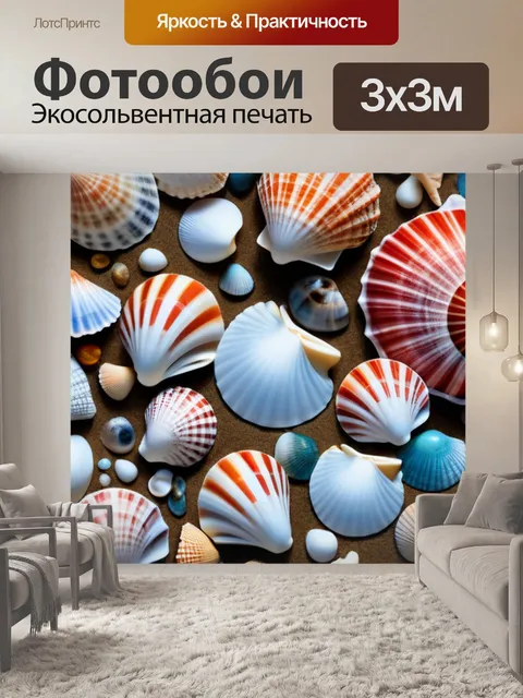 Фотообои искусство морских раковин