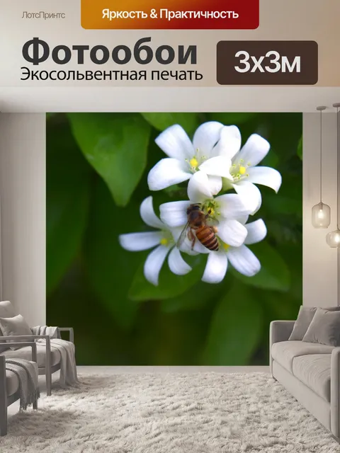Фотообои Белые маленькие цветы 6