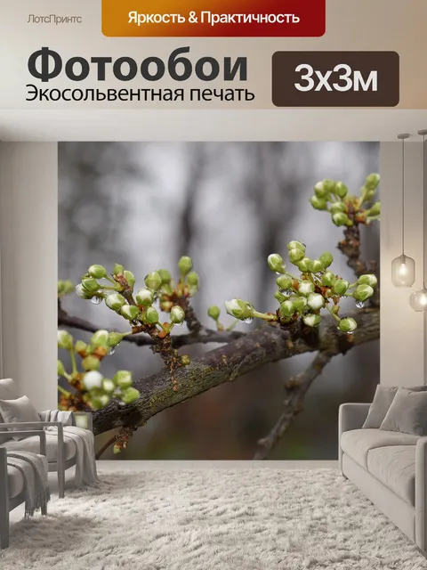 Фотообои Дождь мокрые почки сакуры
