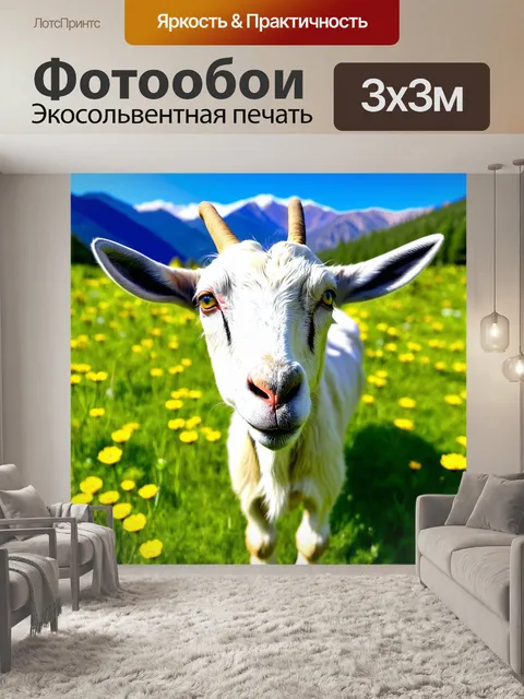 Фотообои изображение домашней козы, стоящей на зеленом лугу в солнечный день