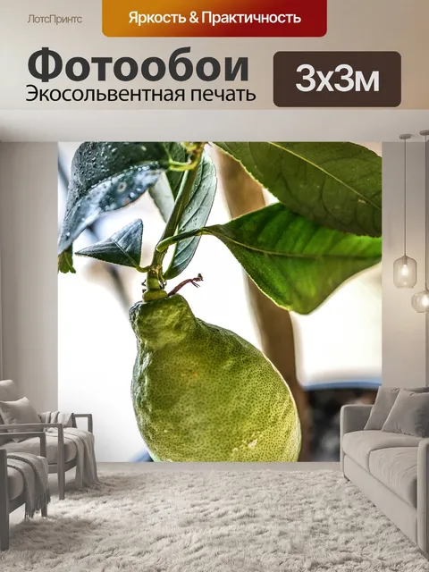 Фотообои Лимон