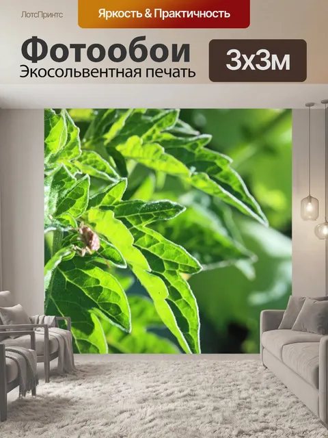 Фотообои светящиеся зеленые листья помидора