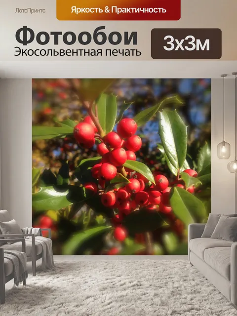 Фотообои Утро Холли ягоды