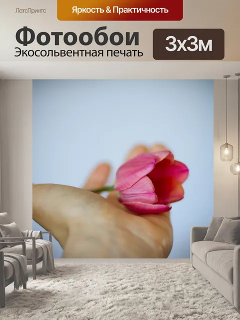 Фотообои Розовый тюльпан