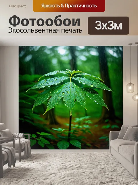 Фотообои лес в дождливую погоду, капли воды на листьях, промозглая атмосфера