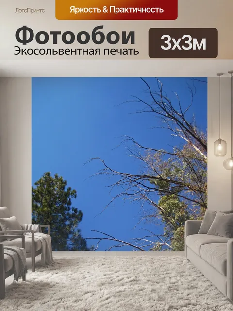 Фотообои верхушки деревьев на фоне голубого неба