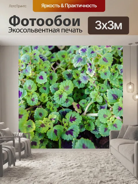 Фотообои Лист
