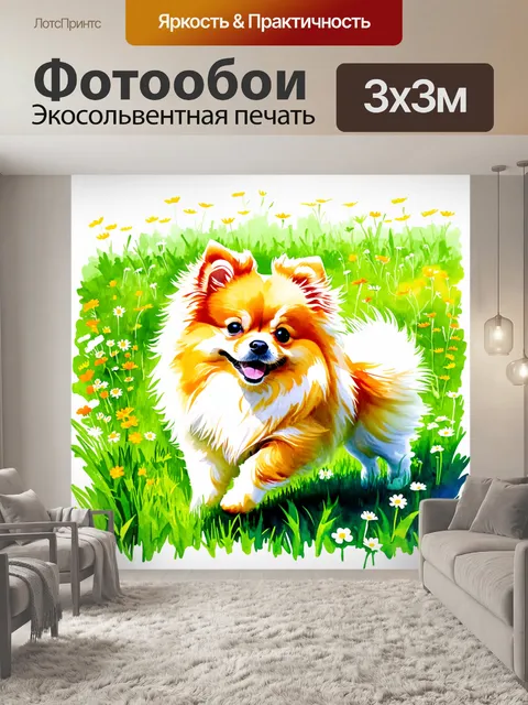 Фотообои игривая сцена с померанским шпицем, резвящимся на зеленом травяном поле, окруженном цветущими полевыми цветами
