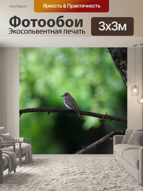 Фотообои Птица