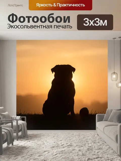Фотообои Щенок с мячом на закате