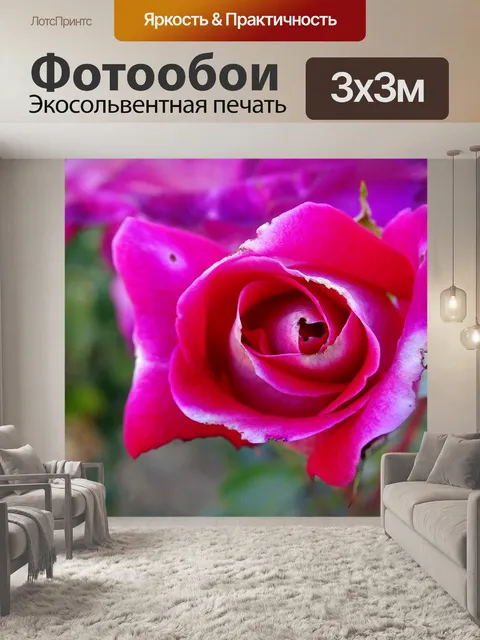 Фотообои Роуз