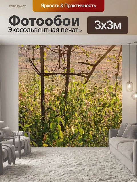 Фотообои забор с яркой листвой