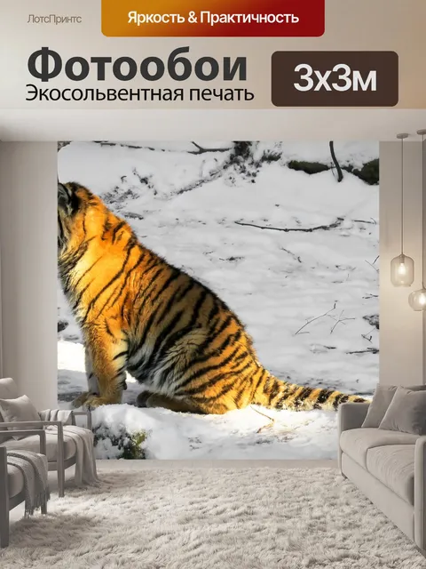 Фотообои Тигр