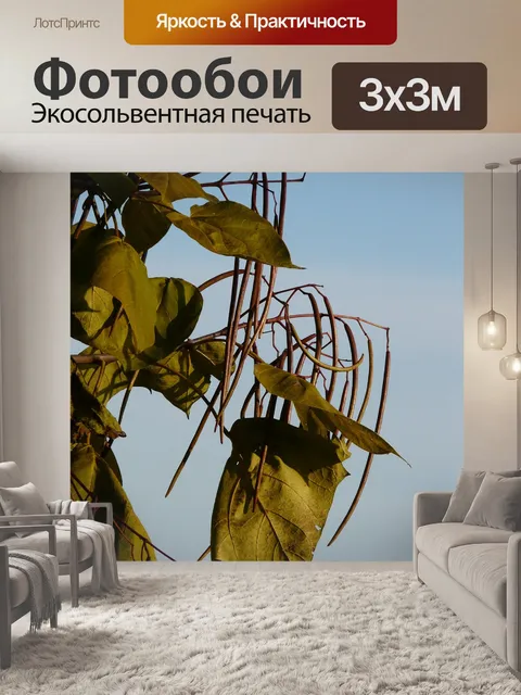 Фотообои Труба