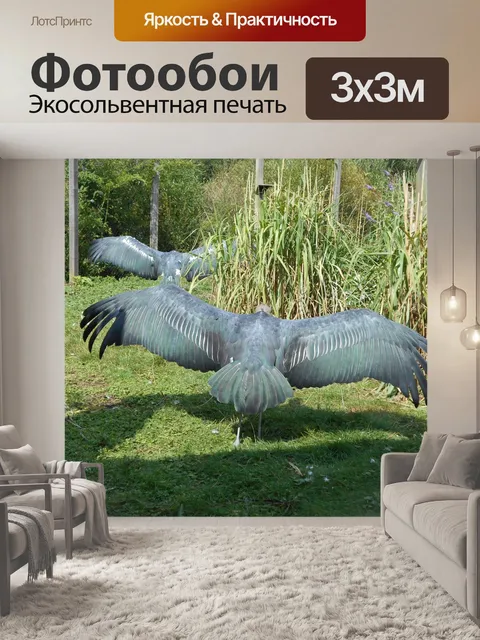 Фотообои Птица