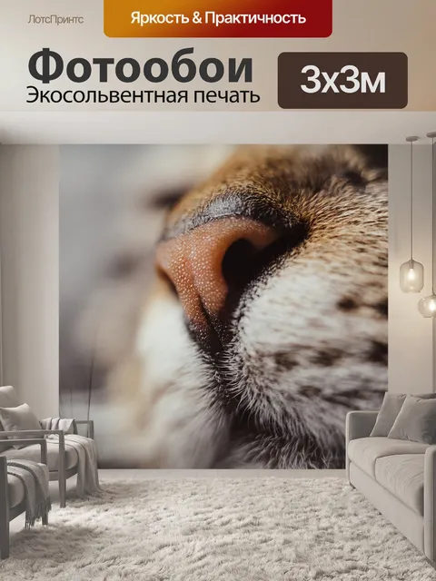 Фотообои Кошка