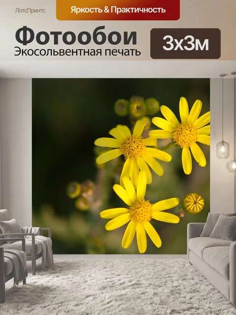 Фотообои Уайлдфлауэр