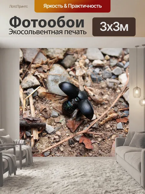 Фотообои Зверь для доброго бога
